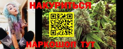 сатива Аргун