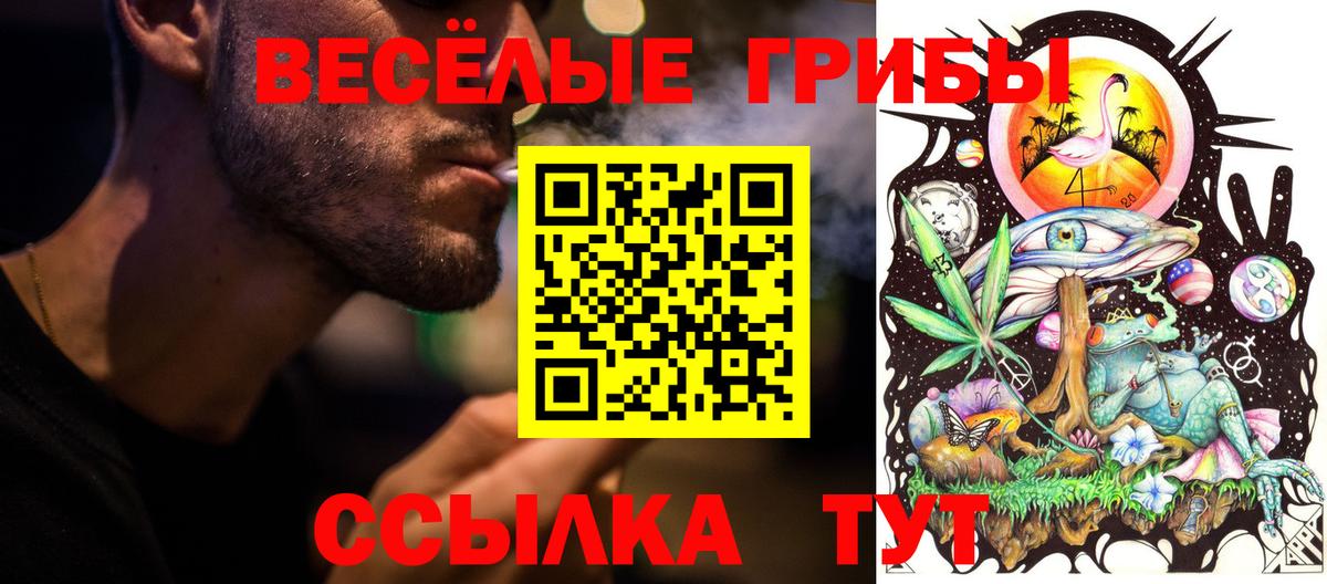 Волжский  Псилоцибиновые грибы Psilocybe  Вход с VPN 